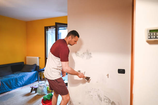 Best Home Mold Removal  in Park City, UT